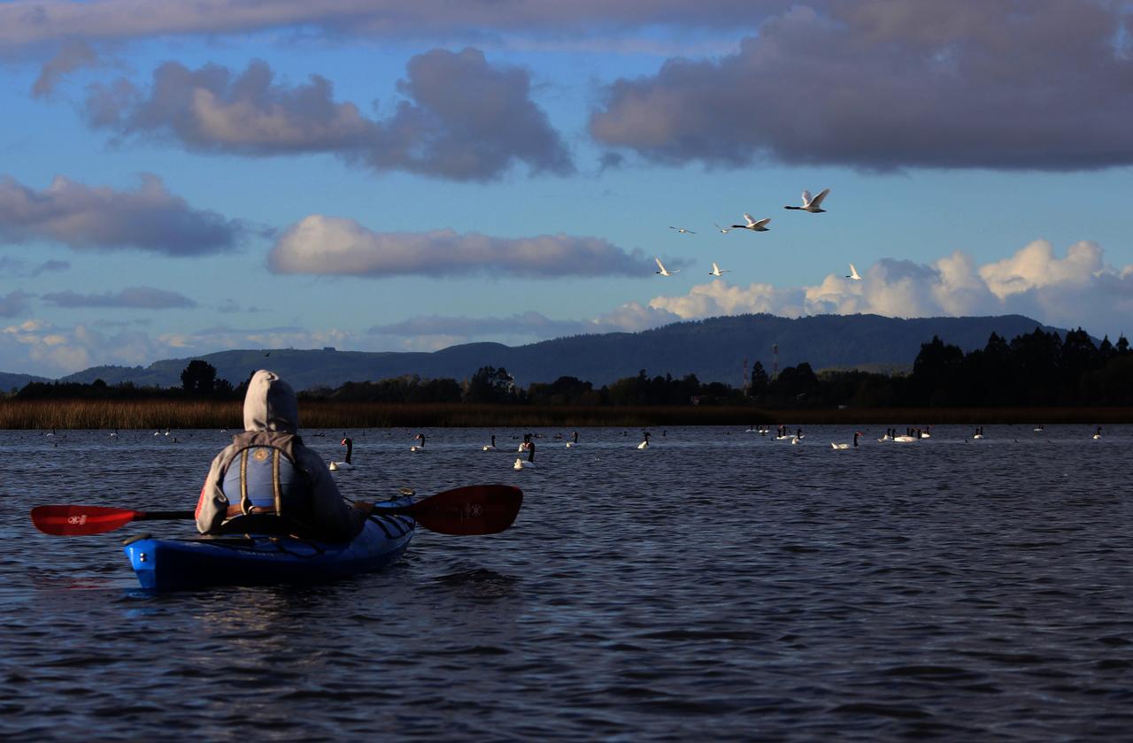 Villa Casa Rio Vivo Valdivia Esterno foto